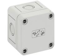 Spelsberg 10540101 TK Series Enclosure 65x65x57mm IP66 grey-white