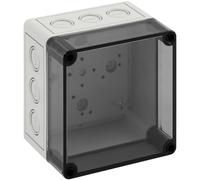 Spelsberg TK Series Enclosure 130x130x99mm grey-white IP66 PC 10650501