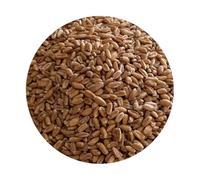 Spelt Wheat for Milling - Premium Ancient Grain (Triticum spelta) | Ideal for Home Milling, Baking & Wholegrain Cooking (5kg)