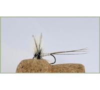 Spent Mayflies, Barbless size 10, Trout flies, early season top flies, surface flies, May and June (6)