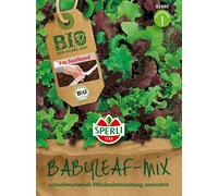 Sperli Organic Lettuce Mix Seed Band - 1 item