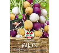 Sperli Radish "Combination III" - 1 Pkg