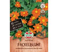 Sperli Red Sunflower "Fiesta del Sol" - 1 Pkg