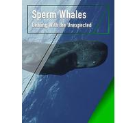 Sperm Whales - Dealing With the Unexpected