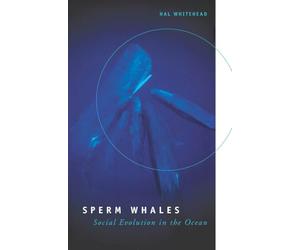 Sperm Whales: Social Evolution in the Ocean