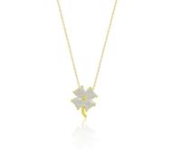 Spero London Four Leaf Clover Sterling Silver Necklace - White - Gold - Gold
