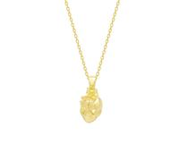 Spero London Sterling Silver Anatomical Heart Necklace - Gold - Gold