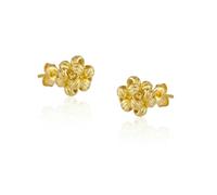 Spero London Sterling Silver Dorissa Beaded Stud Earrings - Gold - Gold