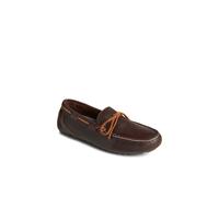 Sperry Men's Driver 1 Eye Loafer in Brown | Size: 8 Sperry Brown 8