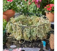 Garden Mile 600g Sphagnum Moss - Natural Sphagnum Moss Ideal for Terrariums, Live Plant Displays, Wreaths Orchid Potting Mix and Garden Hanging Baskets