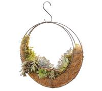 Sphere Planter,Hanging Moon Planter Round Iron Moon Planter Ventilated Wire Planter Basket with Hook DIY Decorative 11x3.5x11in Hanging Planter for Succulent