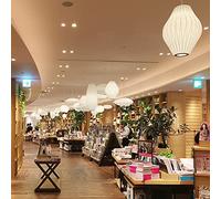 Spherical Modern Silk Pendant Light for Living Room Restaurant and Garden Decor Creativity Indoor Art Hanging Lamp in White (12x12inch)