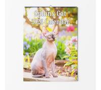 Sphinx Wall Calendar - Choice Of Sizes - A4 Cat Calendar - Cat Lovers Monthly Planner 2026
