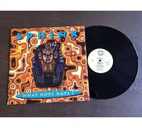 Sphinx - What Hope Have I [12" VINYL]