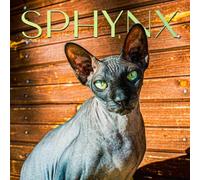 Sphynx Cat Calendar 2027: Cat Portraits and Breed Scenes