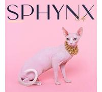 Sphynx Cat Calendar 2027: Distinctive Cats and Indoor Scenes