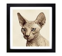 Sphynx Cat Drawing Framed Print | 18x18 Inch Black Framed Wall Art | Ready to Hang | Modern Animal Picture | Living Room Bedroom Lounge Office