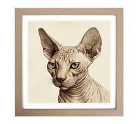 Sphynx Cat Drawing Framed Print | 18x18 Inch Oak Framed Wall Art | Ready to Hang | Modern Animal Picture | Living Room Bedroom Lounge Office