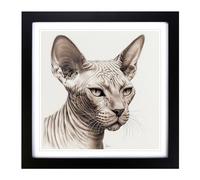 Sphynx Cat Drawing No.1 Framed Print | 18x18 Inch Black Framed Wall Art | Ready to Hang | Modern Animal Picture | Living Room Bedroom Lounge Office