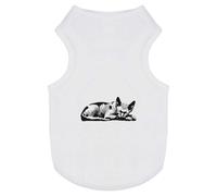 'Sphynx Cat Sleeping' Pet Dog/Cat T-Shirt (PT00149623)