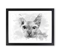 Sphynx Cat V4 Modern Framed Wall Art Print, Ready to Hang Picture for Living Room Bedroom Home Office Décor, Black A2 (64 x 46 cm)