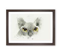Sphynx Cat with Amber Eyes in Abstract Framed Print | A2 Walnut Framed Wall Art | Ready to Hang | Abstract Animal Picture | Living Room Bedroom Lounge Office