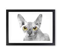 Sphynx Cat with Amber Eyes Painting Framed Print | A2 Black Framed Wall Art | Ready to Hang | Modern Animal Picture | Living Room Bedroom Lounge Office