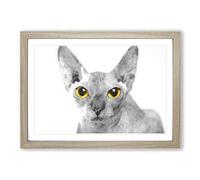 Sphynx Cat with Amber Eyes Painting Framed Print | A2 Oak Framed Wall Art | Ready to Hang | Modern Animal Picture | Living Room Bedroom Lounge Office