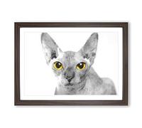 Sphynx Cat with Amber Eyes Painting Framed Print | A2 Walnut Framed Wall Art | Ready to Hang | Modern Animal Picture | Living Room Bedroom Lounge Office
