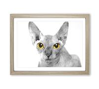 Sphynx Cat With Amber Eyes Painting Modern Art Framed Print | A3 Oak Framed Wall Art | Ready to Hang | Modern Animal Picture | Living Room Bedroom Lounge Office