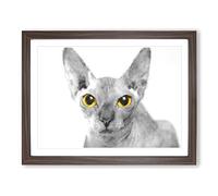 Sphynx Cat With Amber Eyes Painting Modern Art Framed Print | A3 Walnut Framed Wall Art | Ready to Hang | Modern Animal Picture | Living Room Bedroom Lounge Office