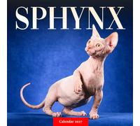 Sphynx Cats Calendar 2027: Distinctive Cat Photography