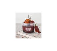 Spicentice Carolina Reaper Chilli Pot - World's Hottest Chilli - 100% Natural