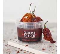 Spicentice Carolina Reaper Chilli Pot - World's Hottest Chilli