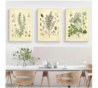 Spices Herbs Print Vintage Botanical Poster Parsley Sage Rosemary Thyme Culinary Wall Art Picture Kitchen Decor 40x60cmx3 Frameless