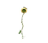 Spider - 5cm Gourd Size, Hanging Bridge Smoother, Tree Pet Gear | Invertebrates Vivarium Decoration Gecko Jungle Gym Bioactive Setup Nature Inspired Beauty Arthropod
