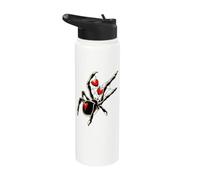 Spider Black Widow Love Web Stainless Steel Insulated Water Bottle