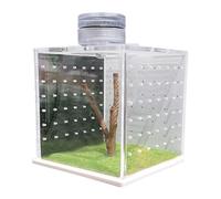 Spider Cage, Lizard Cage | Tarantula Armed, Habitat for