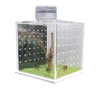 Spider Cage, Lizard Cage, Transparent Frog Case | Habitat Praying Mantis Breeding Box, Small Reptile Tub with Light Humidifier and Power Port pe
