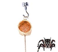 Spider Cave Enclosure Accessories Cage Habitat Decorative Decoration
