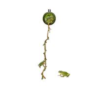 Spider Cave, Magnetic Cave with Rope Bridge for Jumping Spiders - Habitat for Centipedes Reptiles Feeding Resting Place Home Classroom Geckos & Small Animals