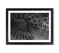 Spider Cobweb No.3 Modern Framed Print | A2 Black Framed Wall Art | Ready to Hang | Modern Nature Picture | Living Room Bedroom Lounge Office