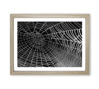 Spider Cobweb No.3 Modern Framed Print | A4 Oak Framed Wall Art | Ready to Hang | Modern Nature Picture | Living Room Bedroom Lounge Office
