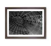 Spider Cobweb No.3 Modern Framed Print | A4 Walnut Framed Wall Art | Ready to Hang | Modern Nature Picture | Living Room Bedroom Lounge Office