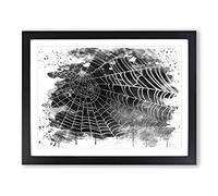 Spider Cobweb Vol.3 V4 Modern Framed Print | A2 Black Framed Wall Art | Ready to Hang | Modern Nature Picture | Living Room Bedroom Lounge Office