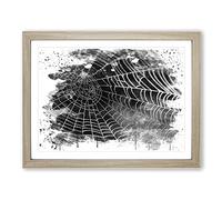 Spider Cobweb Vol.3 V4 Modern Framed Print | A2 Oak Framed Wall Art | Ready to Hang | Modern Nature Picture | Living Room Bedroom Lounge Office