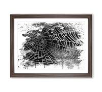 Spider Cobweb Vol.3 V4 Modern Framed Print | A3 Walnut Framed Wall Art | Ready to Hang | Modern Nature Picture | Living Room Bedroom Lounge Office