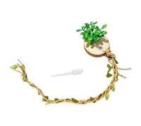 Spider Enclosure Accessories - 6 x 6 x 1 cm Wooden Magnetic Holder with 30 cm Climbing Rope, Realistic Vine | Also for Tarantulas, Jumping Spiders, Amphibians, Molting, Rest, Nesting, Climbing, S