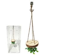 Spider Enclosure Accessories Climbing Activity Area Perch