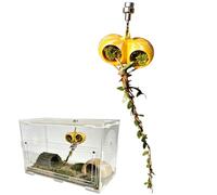 Spider Enclosure Accessories - Magnetic Ornament for Reptile Terrarium - Jumping Spider Habitat Decoration | for Game Planning Climbing Meals Reptiles Spiders Mantis Scorpions